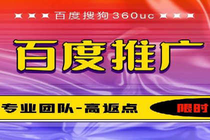 百度推广费用策略在竞争激烈市场的应用案例